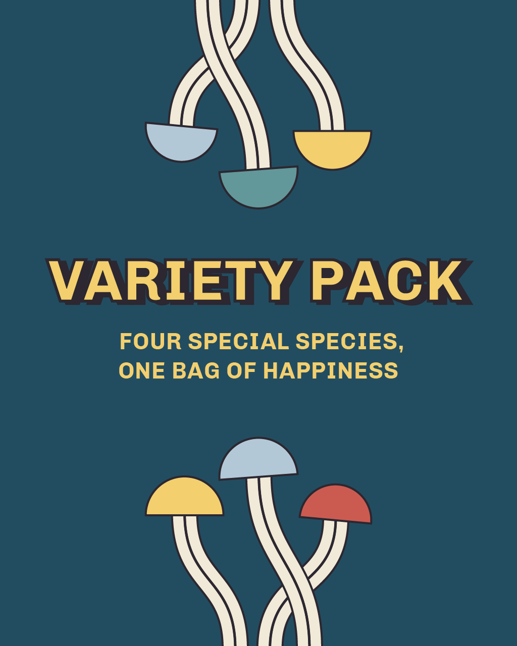 Buy Dried shrooms Variety Pack 28g Australia