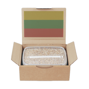 Buy mondo grow kit pes Online in Australia