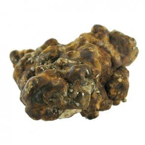 buy Magic Truffles Hollandia Australia